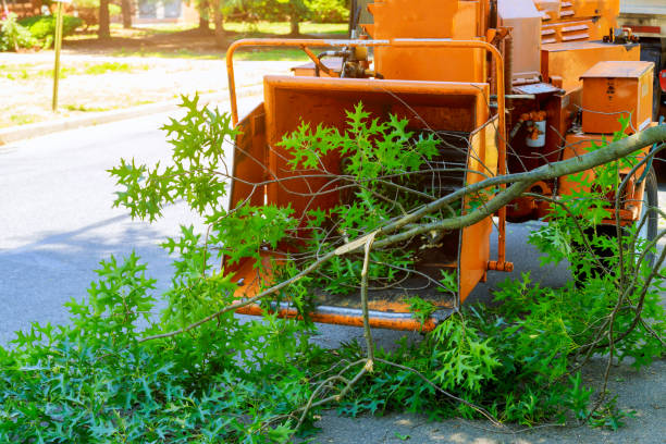 Lawn Watering Services in Rio, WI