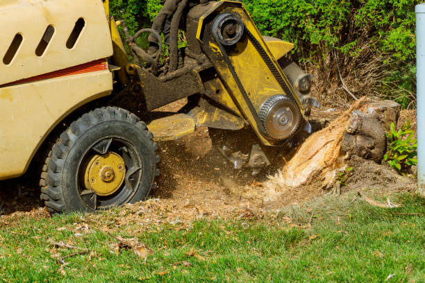 Landscape Design and Installation in Rio, WI